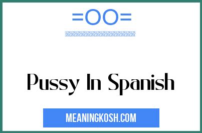 pussy in spanish|Spanish translation of 'pussy' .